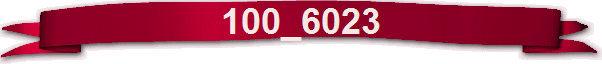 100_6023