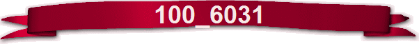 100_6031