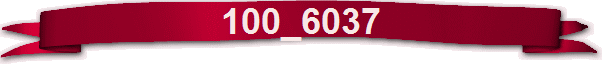 100_6037