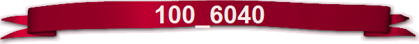 100_6040