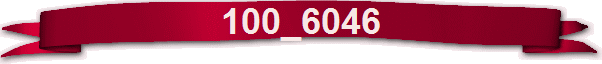 100_6046