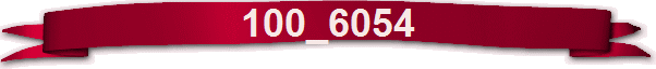 100_6054