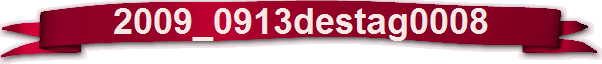 2009_0913destag0008