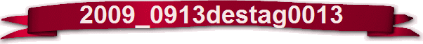 2009_0913destag0013
