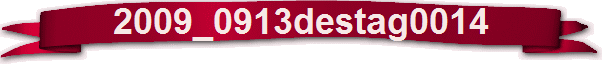 2009_0913destag0014
