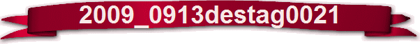 2009_0913destag0021