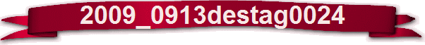 2009_0913destag0024